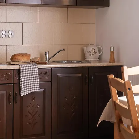 Klimatyczne Elzbieta Bochnak Holiday home Zakopane