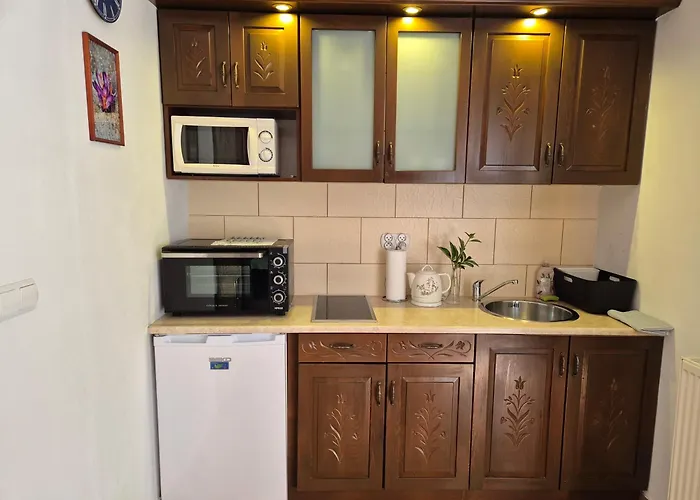 Klimatyczne Elzbieta Bochnak Hébergement de vacances